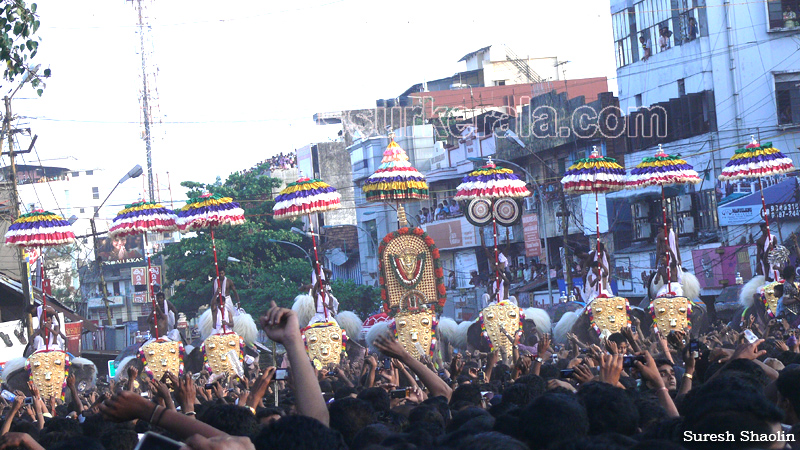 thrissur-pooram-2011- (71)